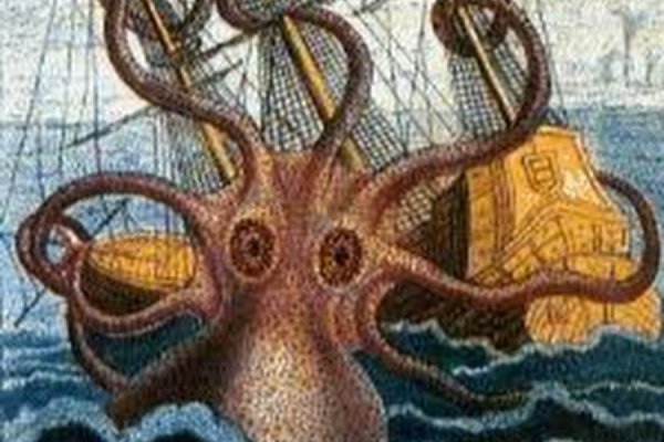 Kraken 19at