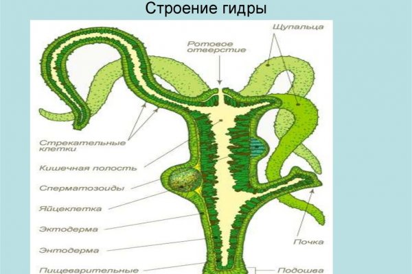 Кракен 18ат