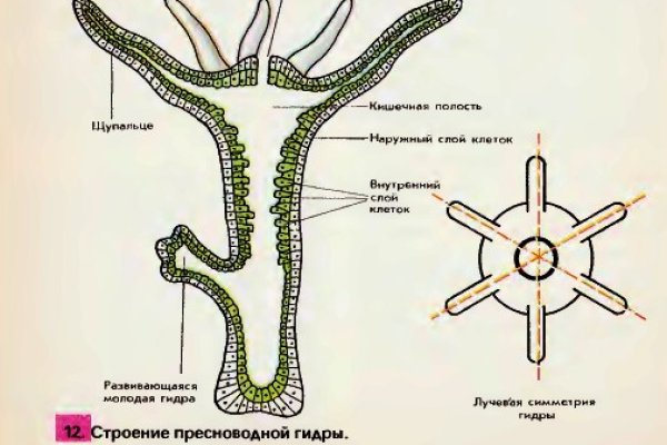 Kraken пользователь не найден при входе