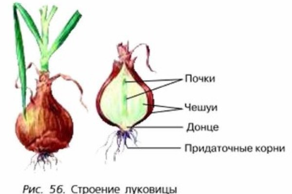 Актуальная ссылка на кракен kraken014 com